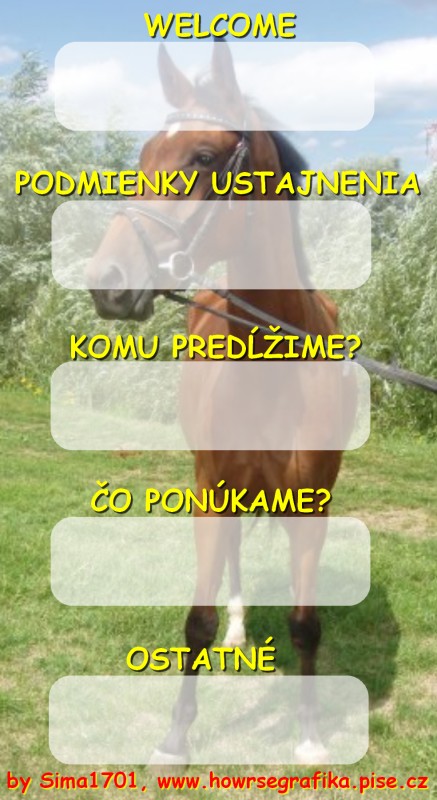 Nepojmenovan 4